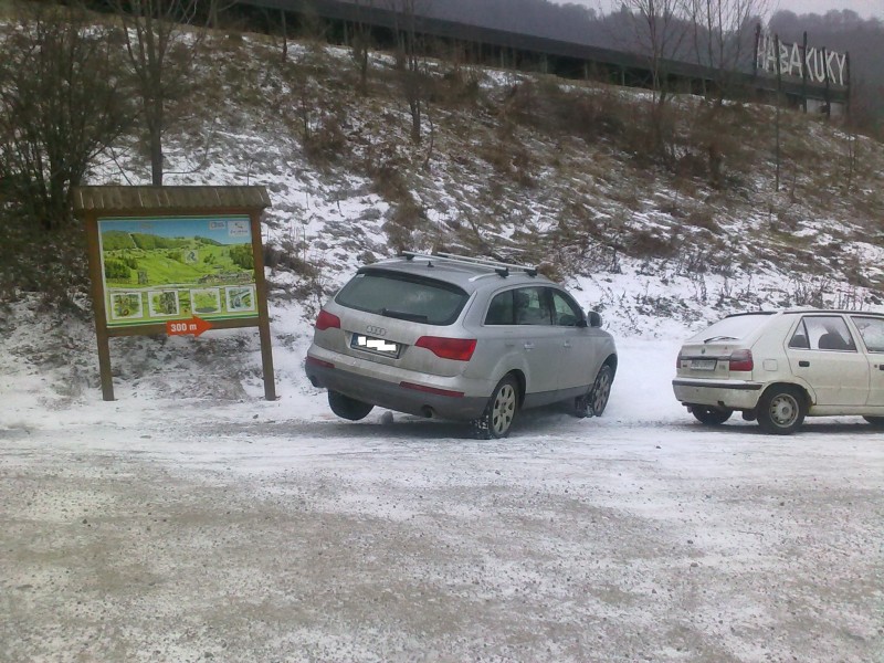 blb02012010039.jpg