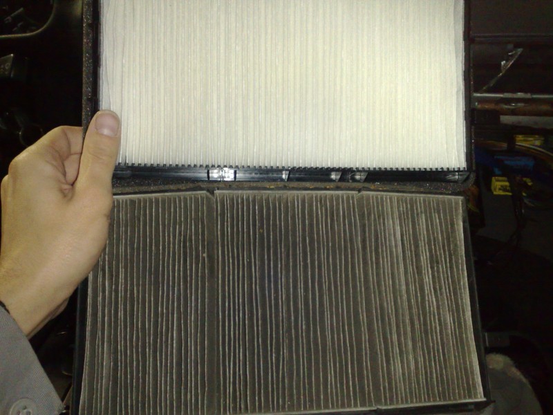 31012009012.jpg