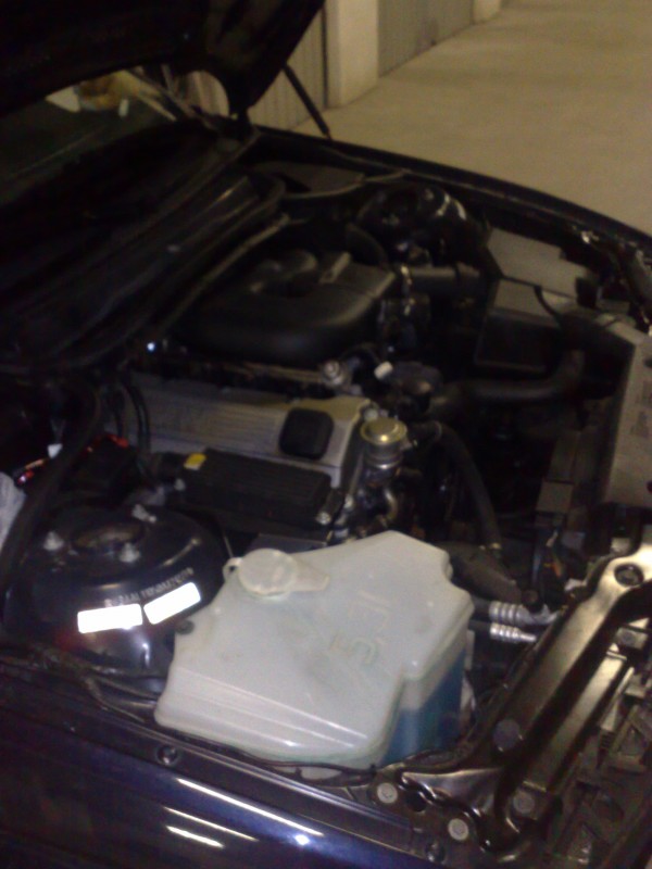10012010451.jpg