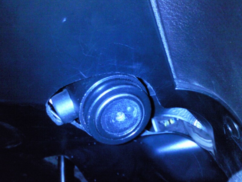 foto11.jpg