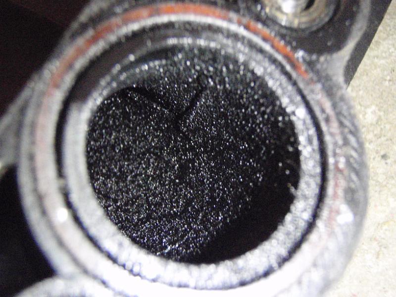 P1161721.JPG