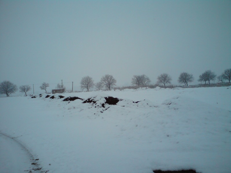 DSC00678.JPG