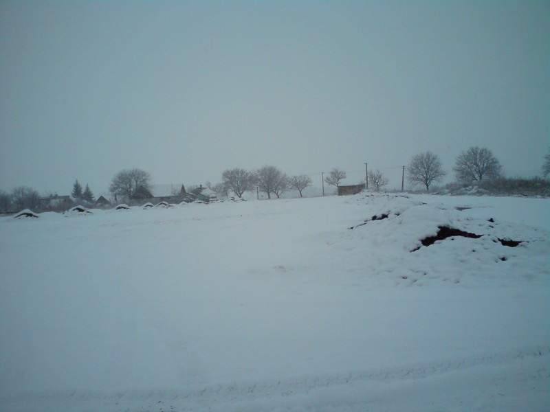 DSC00679.JPG