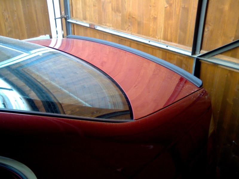 IMG247.jpg