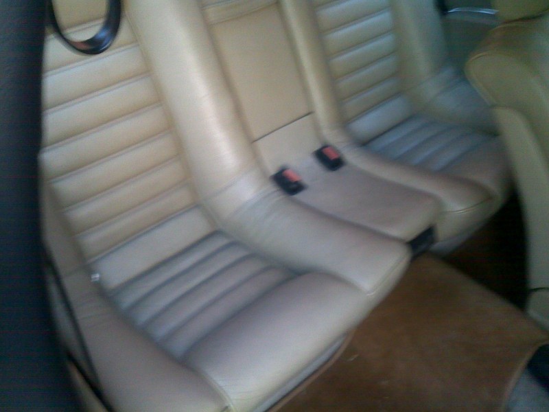 21012010037.jpg