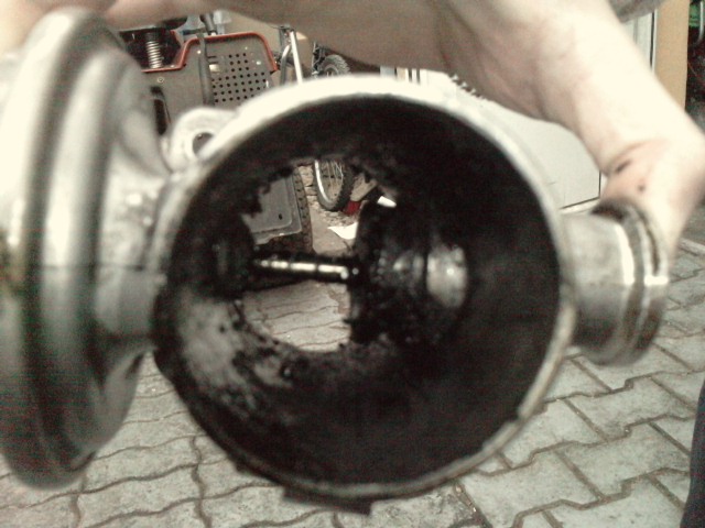 P060210_12.260001.JPG