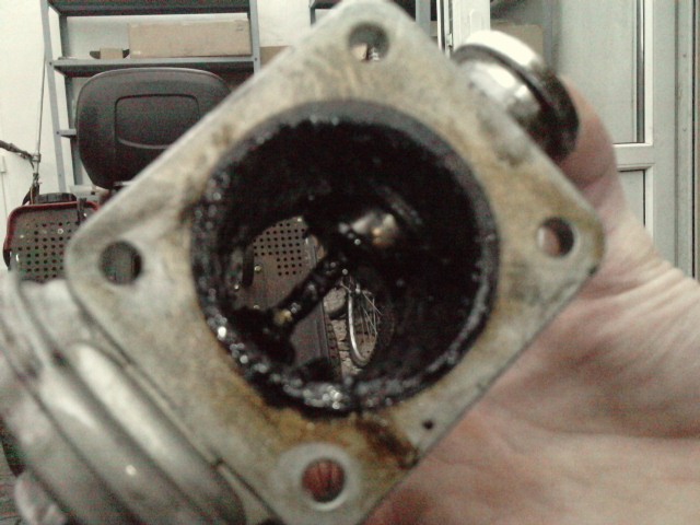 P060210_12.260002.JPG
