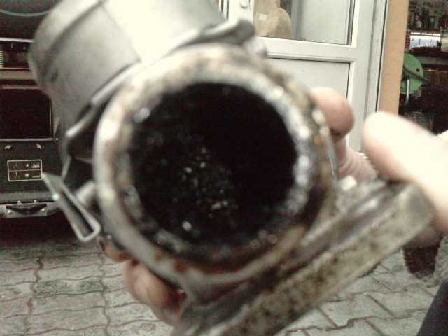 P060210_12.260003.JPG