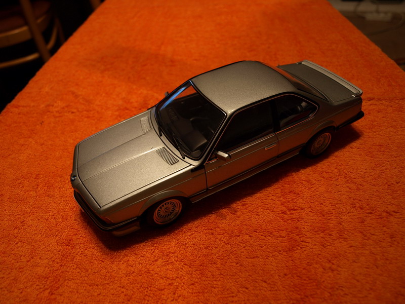 P1271683_resize.JPG