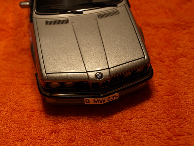 P1271684_resize.JPG