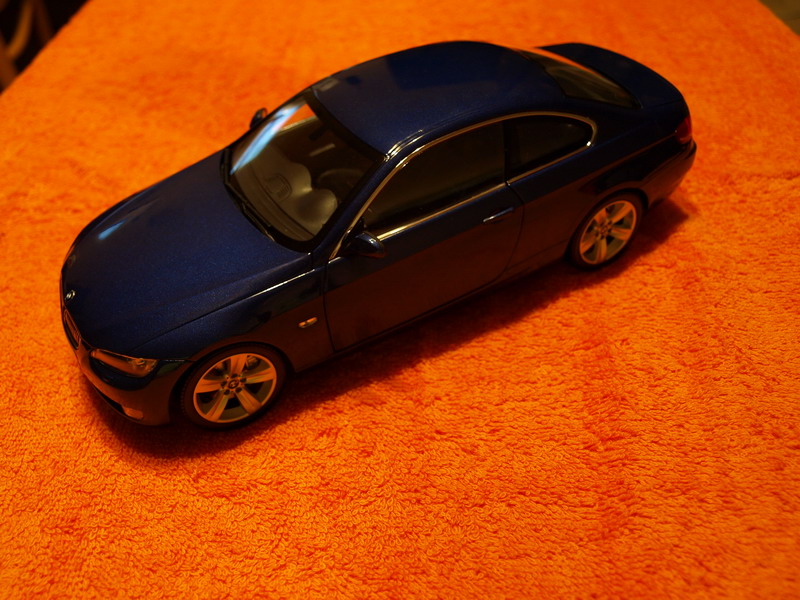 P1271686_resize.JPG