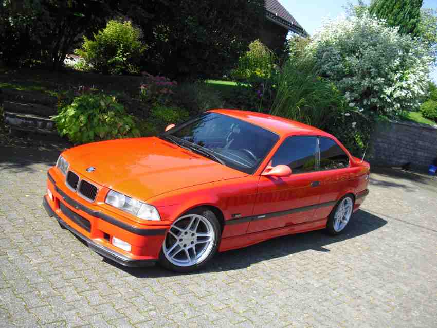 avus%206.jpg
