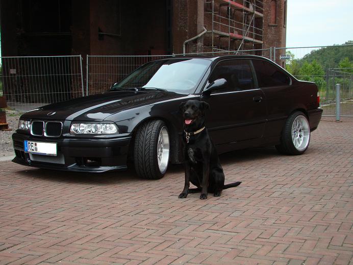 BMW6.jpg