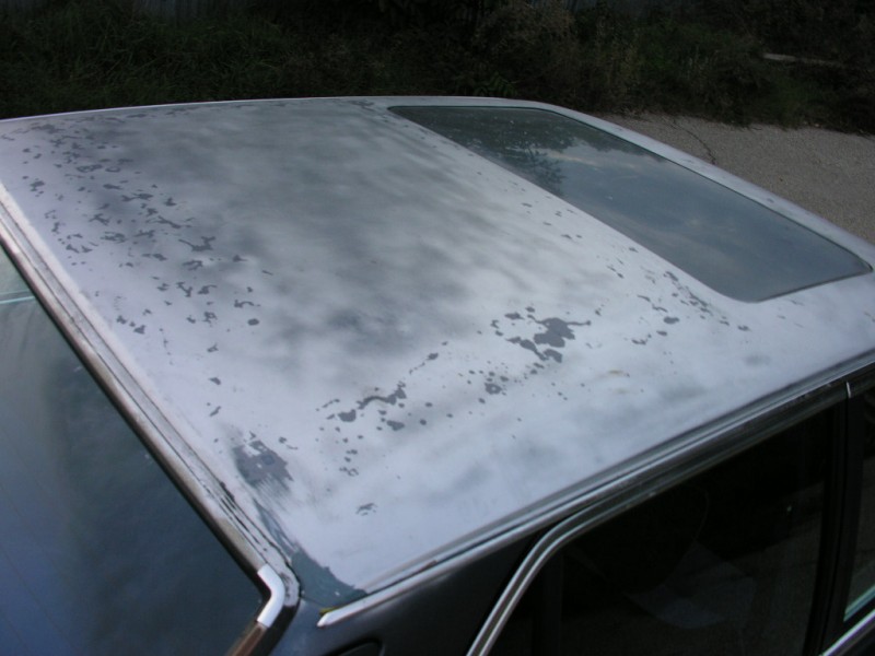 DSCN1513.JPG