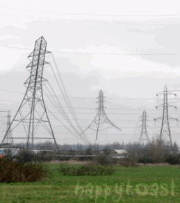 f_155963975_1d17babc3fb68df2b342a4927e5dd5bf.gif