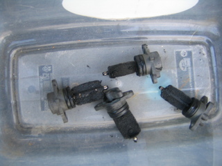 img2571jz1.jpg