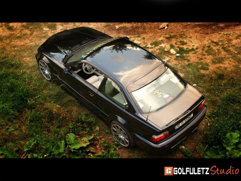bmwm310.jpg
