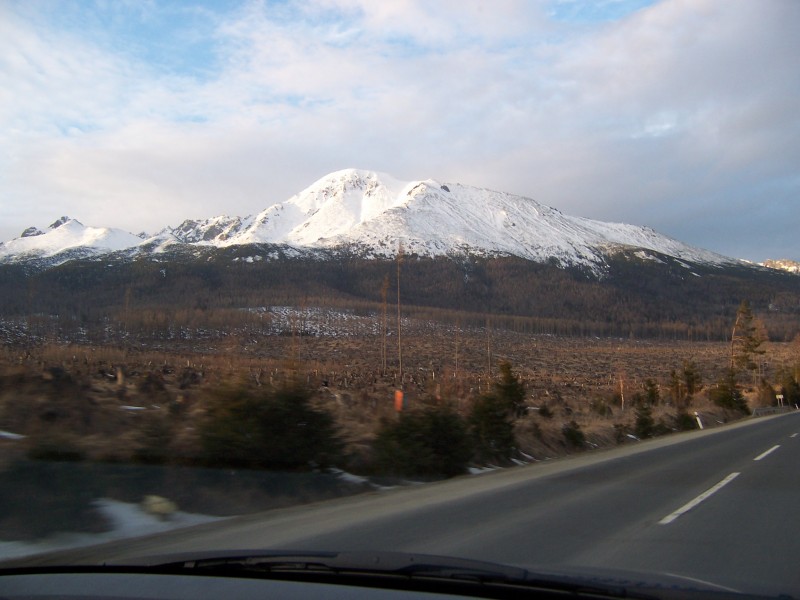 picture 037.jpg