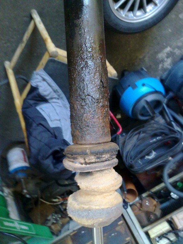 01032010494.jpg