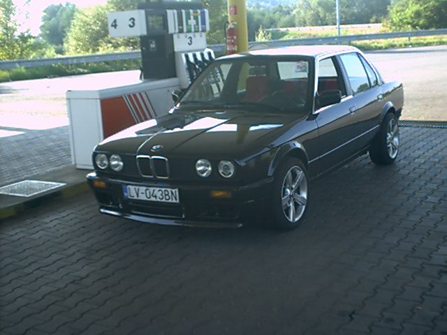 10403158_175550117.jpg