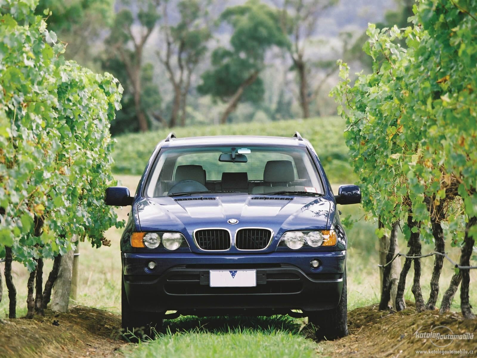 bmw-x5-e53-3-0i-5.jpg