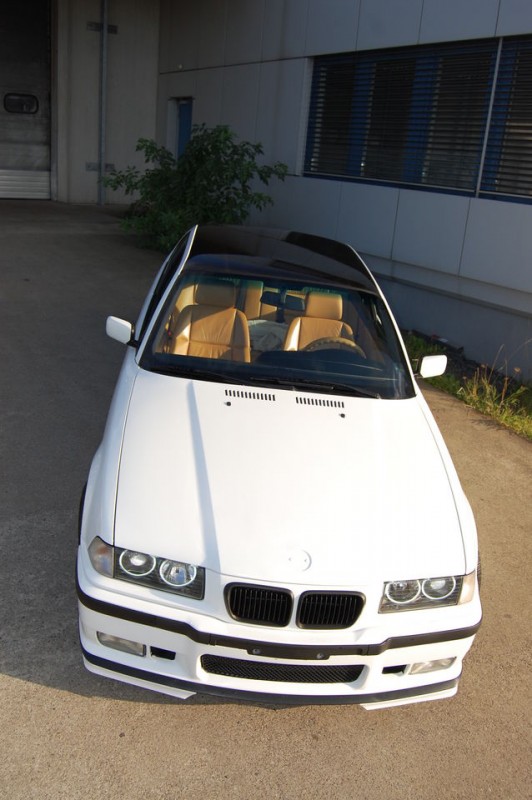 863.jpg