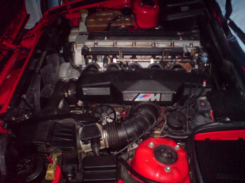 DSC01124.JPG
