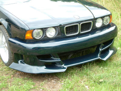 animal e34 02.JPG