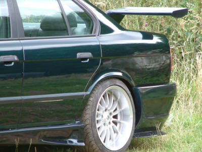 animal e34 03.JPG