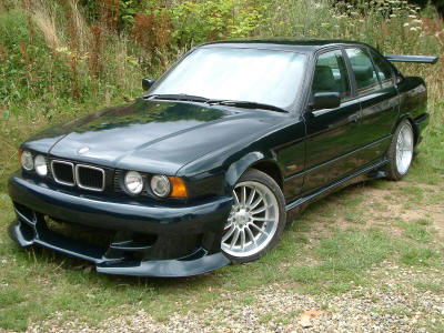 animal e34 04.JPG