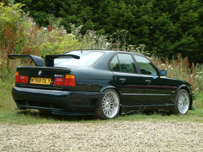animal e34 06.JPG