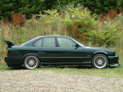 animal e34 07.JPG