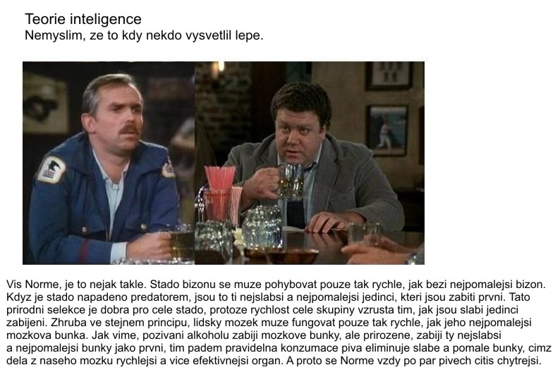 teorie_inteligence.jpeg