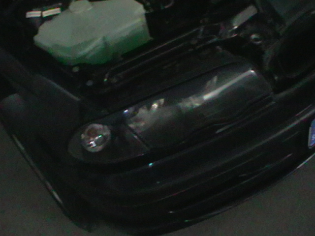 IMGA0341.JPG