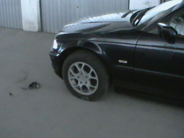 IMGA0318.JPG