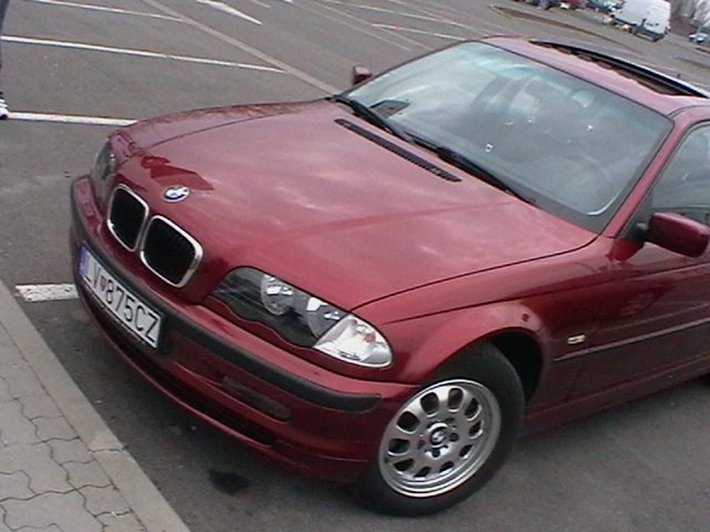 IMGA0384.JPG