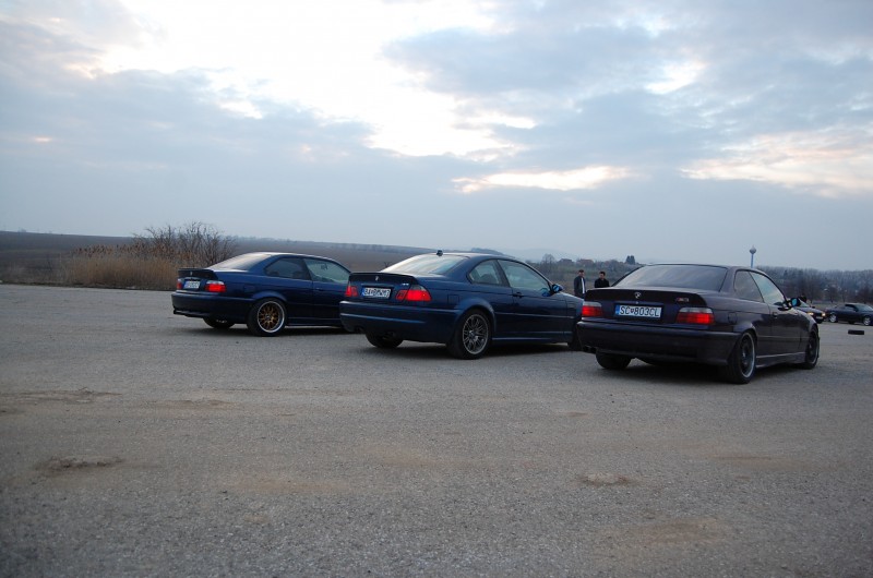 DSC_5448.JPG