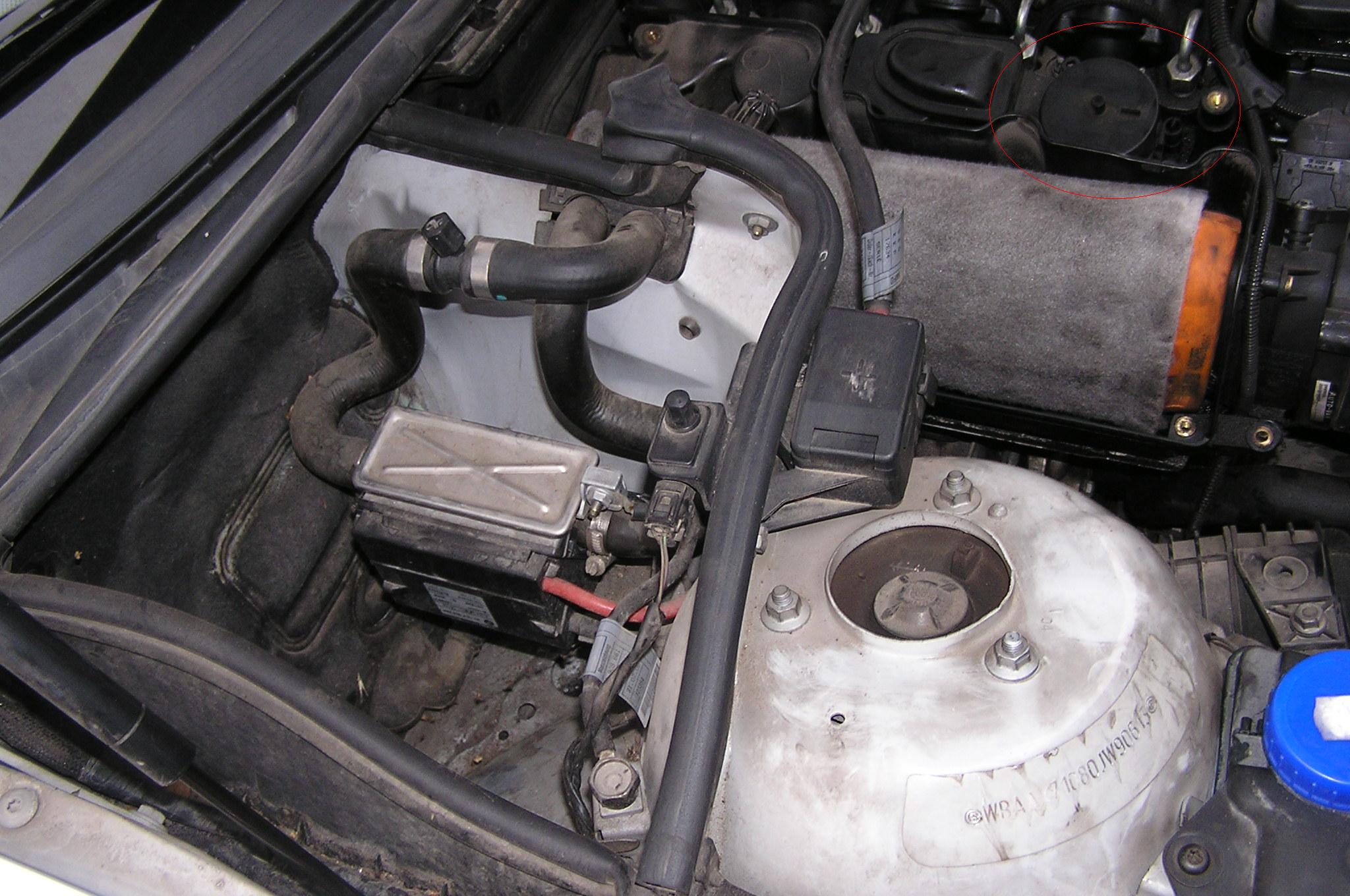p2130276_761bb.jpg