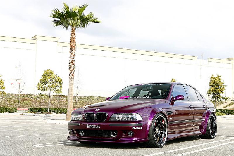 e396.jpg