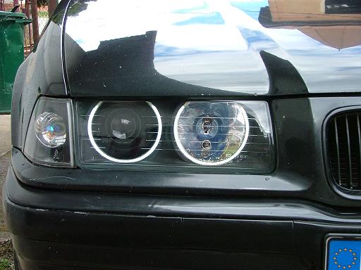 Black Herri 3.JPG