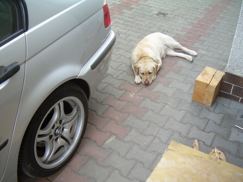 DSCN4154.JPG