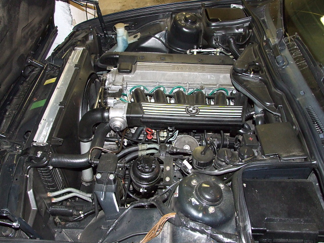 2008_1113fotky0107.JPG