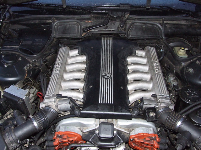2008_1113fotky0098.JPG