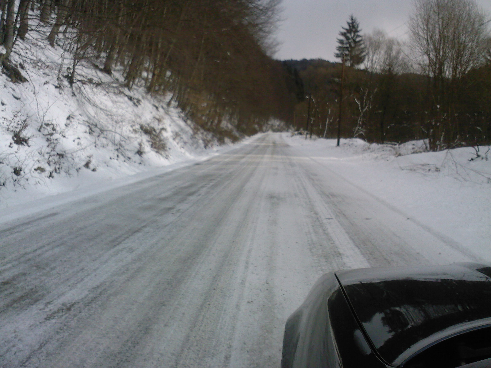 SP_A0091.jpg