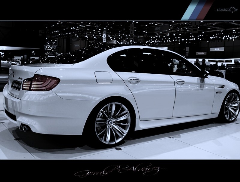 whitef10m5.jpg
