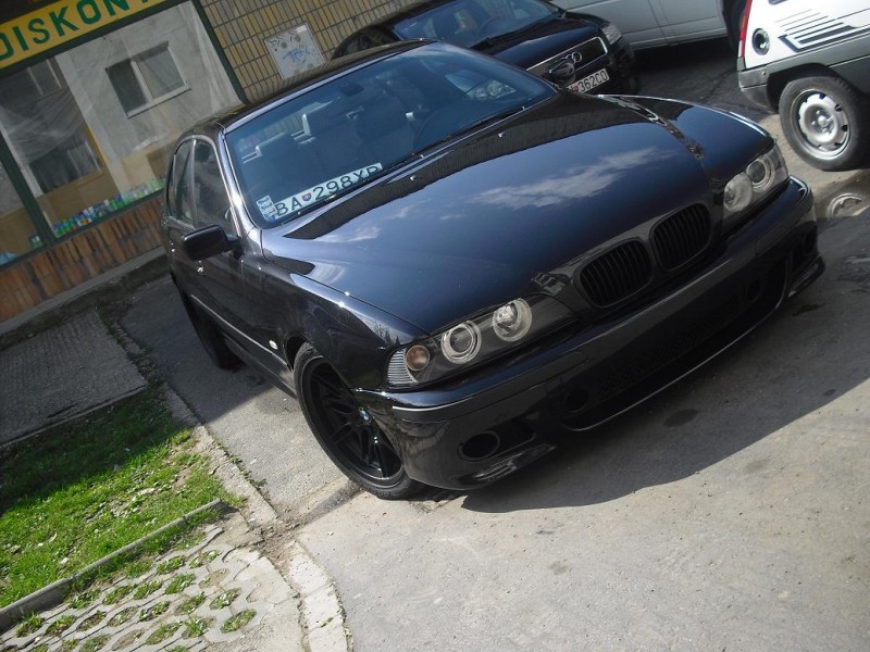 puma540.JPG
