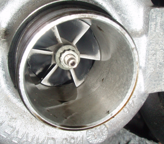 P4020011.JPG