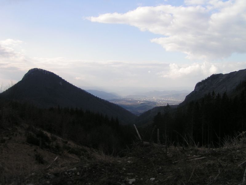 PICT0061.JPG