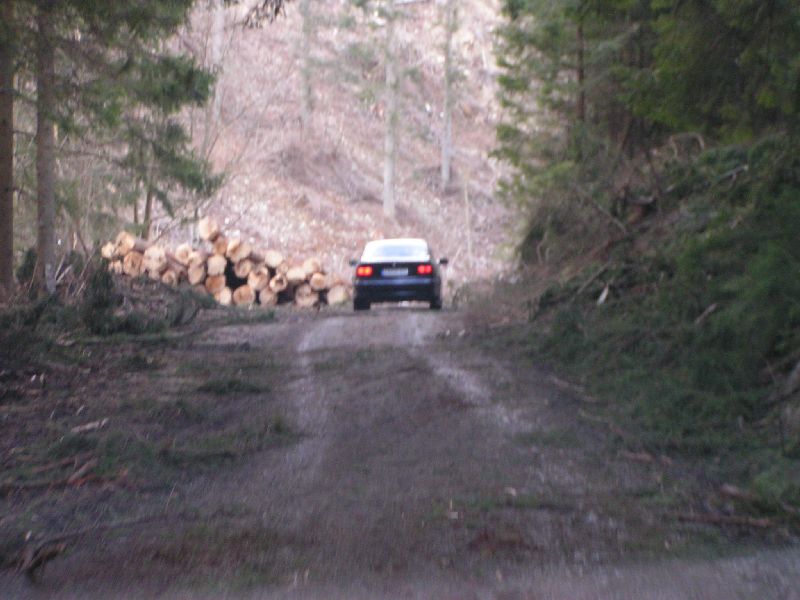PICT0058.JPG