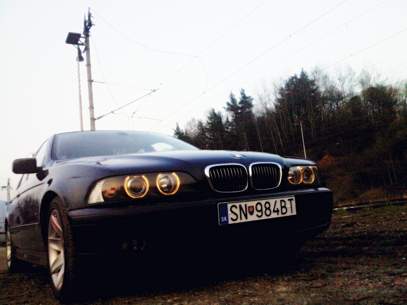 Foto0842mnbgv.jpg